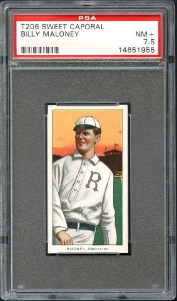 1909-11 T206 Sweet Caporal Billy Maloney PSA 7.5 NM+