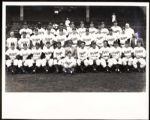 1948 Type 1 First Generation Brooklyn Dodgers 8x10 Photograph