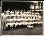 1953 Type 1 First Generation Brooklyn Dodgers 8x10 Photograph