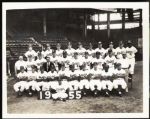 1955 Type 1 First Generation Brooklyn Dodgers Team 8x10 Photograph