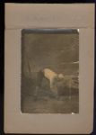 Exceptionally Rare 1887 N173 Old Judge Cabinet Post-Production Proof of Pat Whitacre Philadelphia As