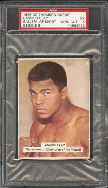 1966 D.C. Thomson Hornet Gallery of Sport Cassius Clay Hand Cut PSA 5 EX